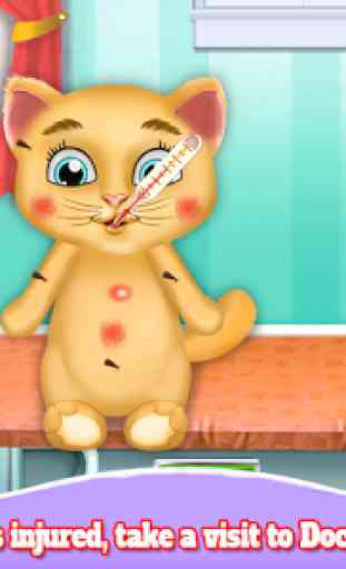 Cute Kitten Daycare & Beauty Salon - Fluffy Kitty 4