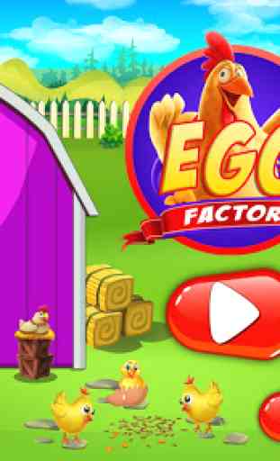 fabbrica di uova: pollame avicoltura 1