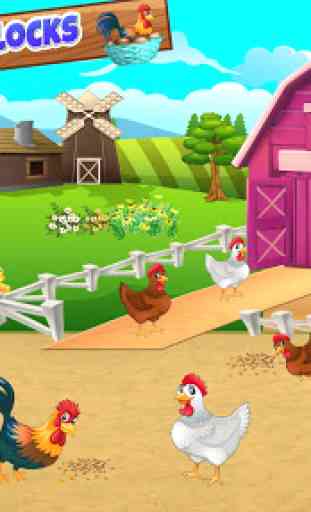 fabbrica di uova: pollame avicoltura 2