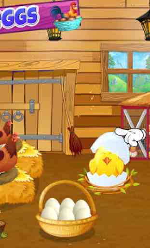 fabbrica di uova: pollame avicoltura 3