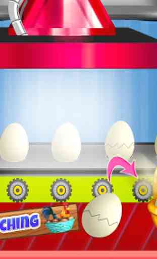 fabbrica di uova: pollame avicoltura 4