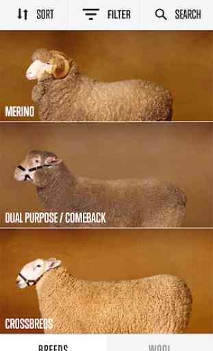 Sheep Breed Compendium by AWEX 1