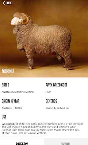 Sheep Breed Compendium by AWEX 2