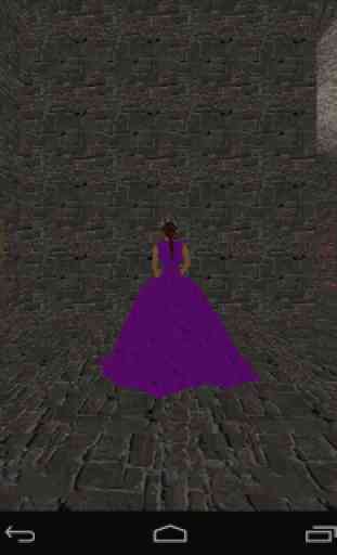 Princess in maze of castle. 3