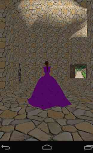Princess in maze of castle. 4