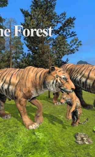 Tigers of the Forest 1