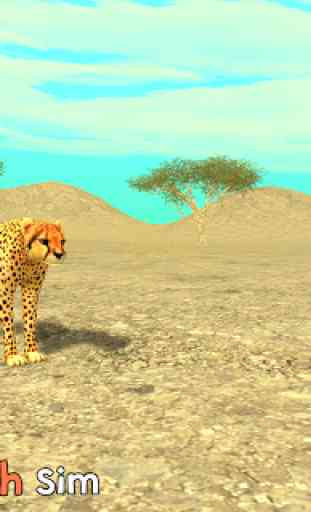 Wild Cheetah Sim 3D 1