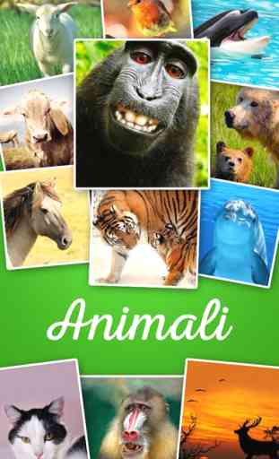 Animali Sfondi - Wallpapers and Backgrounds: Animals 1