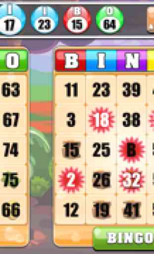 Bingo Casino™ - Free Casino Bingo 3