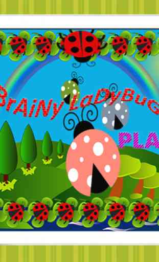 Brainy Coccinella gioco 3