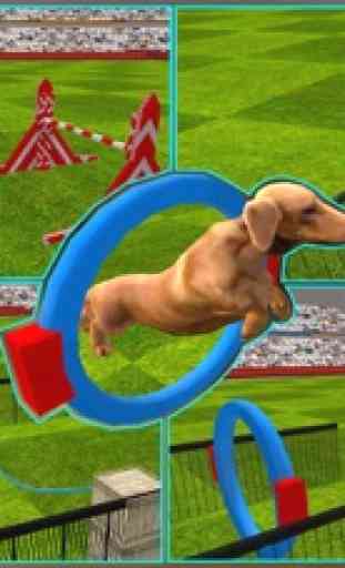 Cane spettacolo simulatore 3D: treno cuccioli e eseguire acrobazie incredibili 2