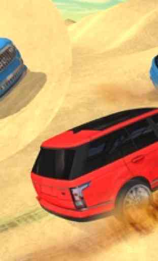 Extreme Luxury Desert Safari Guida - Driver 4 x 4 4