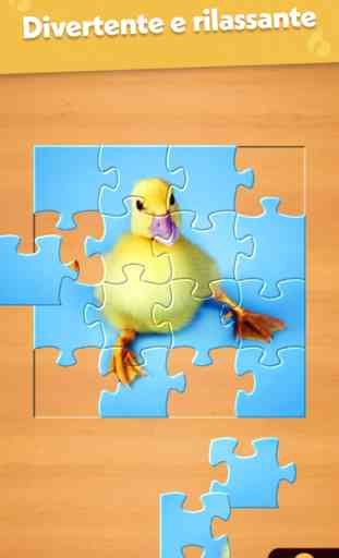 Jigsaw Puzzle 4