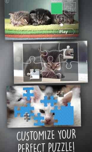 Kittens Jigsaw Puzzles Wonder for Kids 3