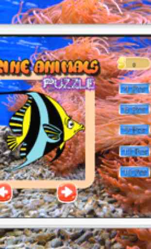 Giochi Di Logica Divertenti Puzzle Di Pesci pesce 1
