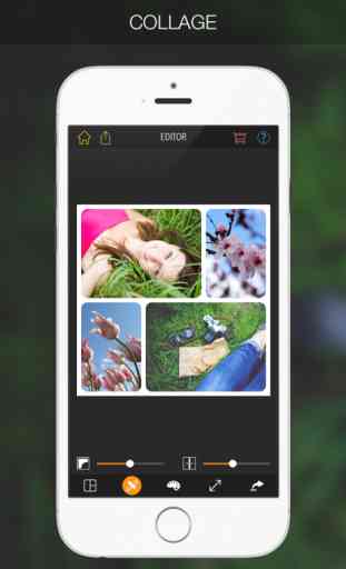 PicPoc Modifica Immagini: Foto Collage & Adesivi 3