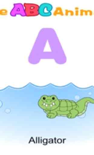Alfabeto ABC Canzone e animali 2