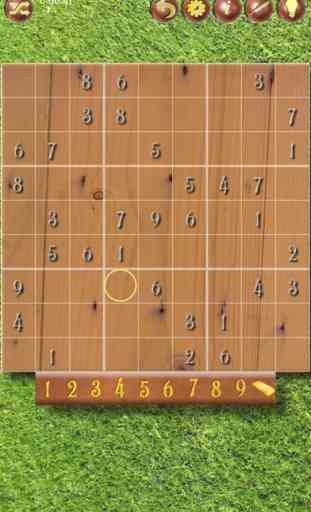 Sudoku (Oh no! Un altro!) 2