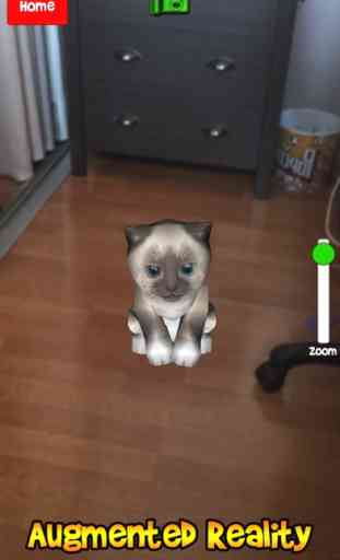 Gattini parlando, il vostro gatto virtuale 3