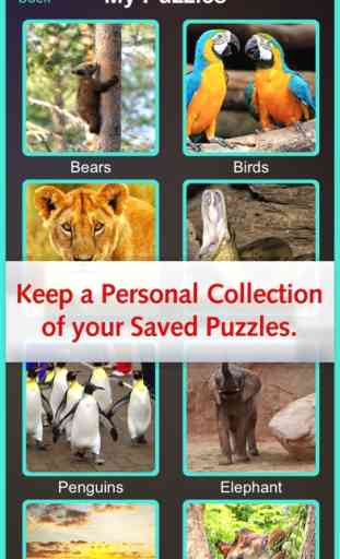 Jigsaw Animal Zoo Pro - Attività imparare e giocare 3
