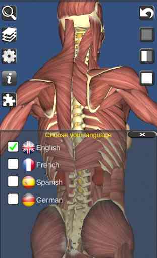 3D Bones and Organs (Anatomy) 4