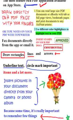 Documento scrittore per Microsoft Office -Word PDF 4
