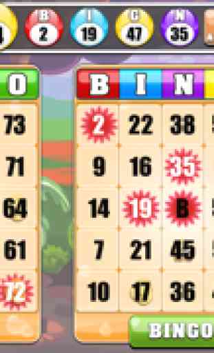 Bingo Casino!!™ 4