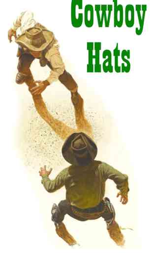 Cowboy Hats Discover 1