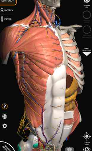 Anatomia - Atlante 3D 1