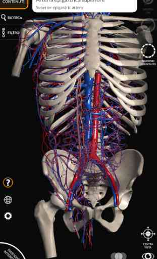 Anatomia - Atlante 3D 2