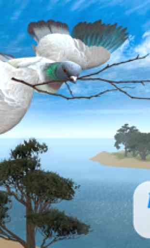 Piccione Uccello Sopravvivenza Simulator 3D 1