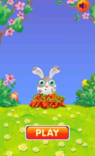 Rabbit Tap Hop 2