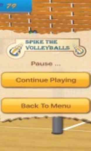 Spike the Volleyballs 3