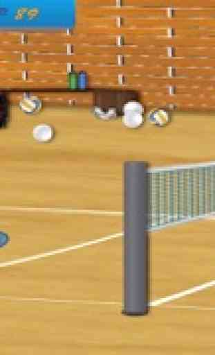 Spike the Volleyballs 4