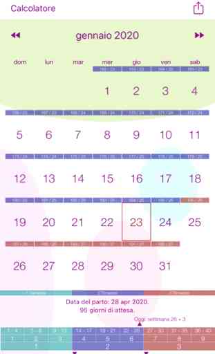 Calendario della gravidanza 1