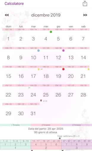 Calendario della gravidanza 3